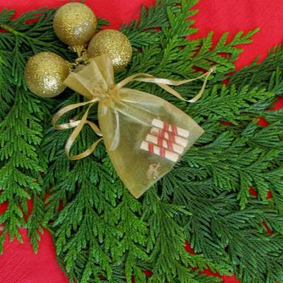 «Ό,τι θέλω για τα Χριστούγεννα» εκδήλωση από το Λύκειο Ελληνίδων Λήμνου