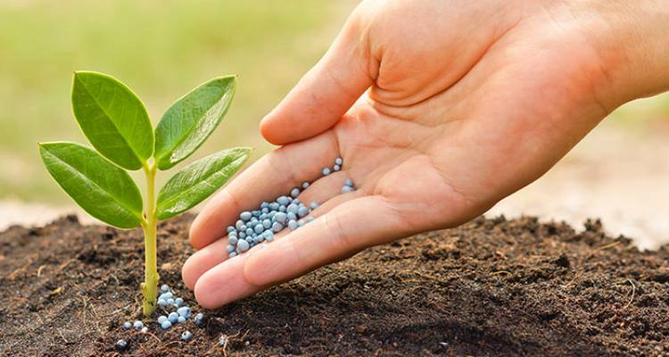 &Pi;&rho;ό&sigma;&lambda;&eta;&psi;&eta; &gamma;&epsilon;&omega;&pi;ό&nu;&omicron;&upsilon; &sigma;&tau;&eta;&nu; &Alpha;&nu;&alpha;&pi;&tau;&upsilon;&xi;&iota;&alpha;&kappa;ή &Lambda;ή&mu;&nu;&omicron;&upsilon; &Alpha;&Epsilon;