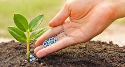 &Pi;&rho;ό&sigma;&lambda;&eta;&psi;&eta; &gamma;&epsilon;&omega;&pi;ό&nu;&omicron;&upsilon; &sigma;&tau;&eta;&nu; &Alpha;&nu;&alpha;&pi;&tau;&upsilon;&xi;&iota;&alpha;&kappa;ή &Lambda;ή&mu;&nu;&omicron;&upsilon; &Alpha;&Epsilon;