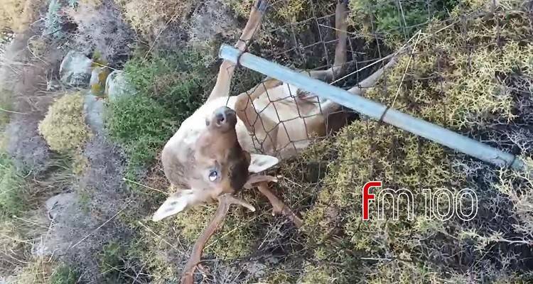 &Lambda;ή&mu;&nu;&omicron;: &Delta;&iota;ά&sigma;&omega;&sigma;&eta; &pi;&lambda;&alpha;&tau;&omega;&nu;&iota;&omicron;ύ