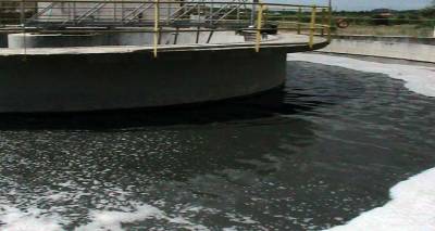 &Alpha;&pi;&rho;&omicron;&epsilon;&iota;&delta;&omicron;&pi;&omicron;ί&eta;&tau;&omicron;&sigmaf; έ&lambda;&epsilon;&gamma;&chi;&omicron;&sigmaf; &sigma;&tau;&omicron;&upsilon;&sigmaf; &beta;&iota;&omicron;&lambda;&omicron;&gamma;&iota;&kappa;&omicron;ύ&sigmaf; &Pi;&lambda;&alpha;&tau;ύ &kappa;&alpha;&iota; &Lambda;&iota;&beta;&alpha;&delta;&omicron;&chi;&omega;&rho;ί&omicron;&upsilon;