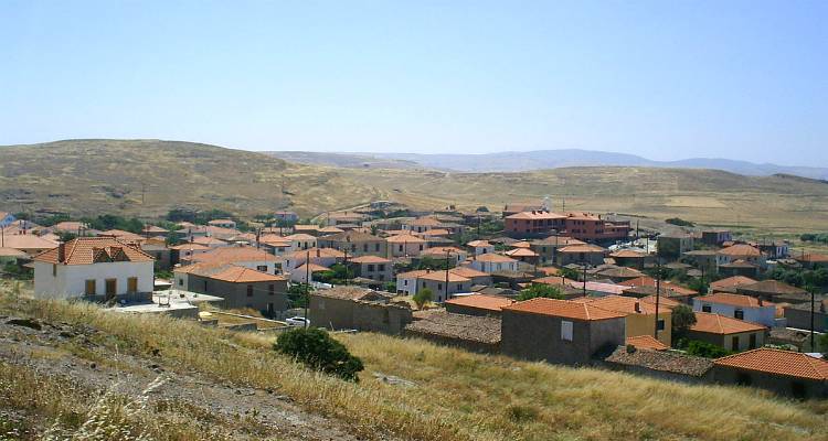 Κάτοικος Βάρους: Τα χόρτα στο χωριό θα μας «καταβροχθίσουν»