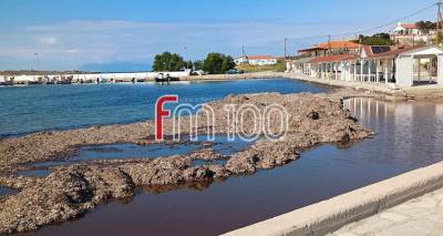 Λήμνος: Έντονο πρόβλημα δυσοσμίας και κουνουπιών στον Κότσινα | Παράπονα από κατοίκους της περιοχής (photos)