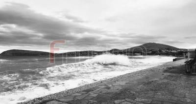 &Phi;&omega;&tau;&omicron;&rho;&epsilon;&pi;&omicron;&rho;&tau;ά&zeta; &alpha;&pi;ό &tau;&eta;&nu; &pi;&rho;&omega;&iota;&nu;ή &laquo;&alpha;&gamma;&rho;&iota;&epsilon;&mu;έ&nu;&eta;&raquo; &Mu;ύ&rho;&iota;&nu;&alpha; (photos + video)